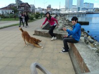 /album/fotogaleria-fotogaleria/a229247-3258195592018-184755926-n-jpg/