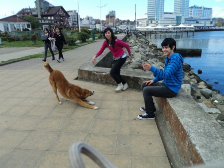 Un amigo es aquel que está a tu lado cuando probablemente preferiría estar en otro sitio.